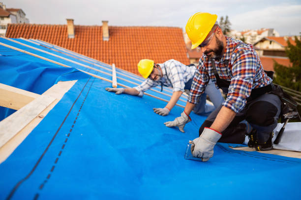 Best Roof Gutter Cleaning  in Rkville, PA